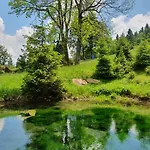 Zieleniecka