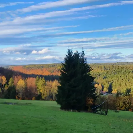 Zieleniecka Bed and Breakfast 3*