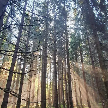 Nocleg ze śniadaniem Zieleniecka Duszniki Zdrój