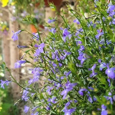 Nocleg ze śniadaniem Zieleniecka Duszniki Zdrój