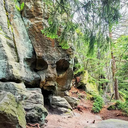 Nocleg ze śniadaniem Zieleniecka