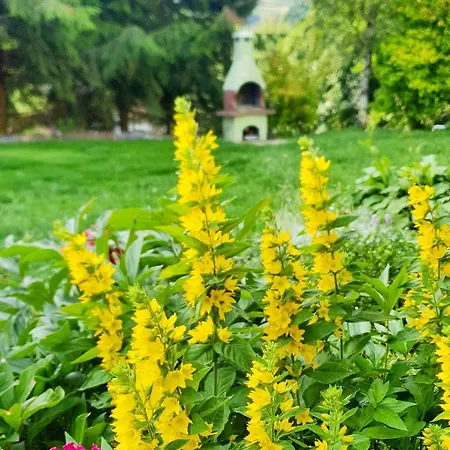 Zieleniecka Nocleg ze śniadaniem 3*