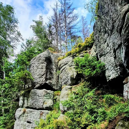 Zieleniecka Nocleg ze śniadaniem Duszniki Zdrój