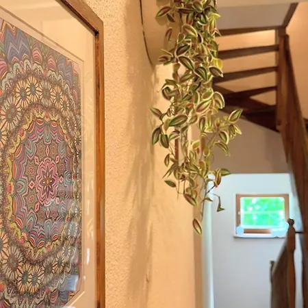 Bed & Breakfast Zieleniecka Duszniki Zdrój