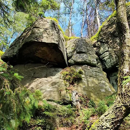 Zieleniecka *