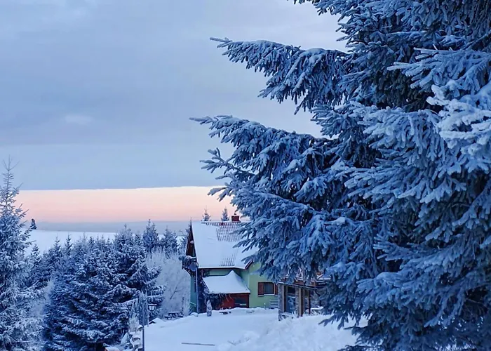 Bed & Breakfast Zieleniecka