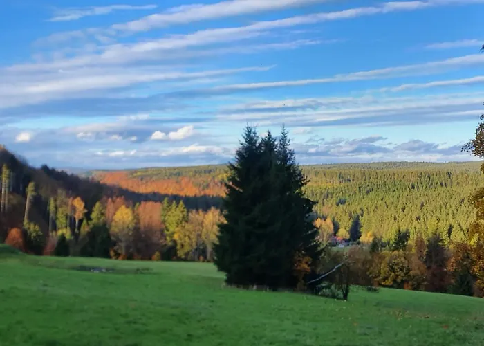 Zieleniecka Bed & Breakfast 3*