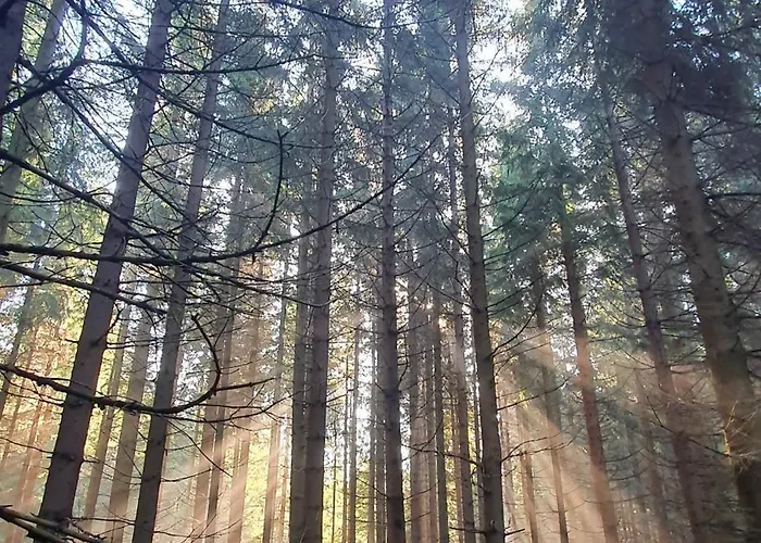 Bed & Breakfast Zieleniecka Duszniki Zdroj