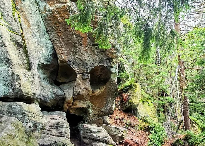 Bed and Breakfast Zieleniecka