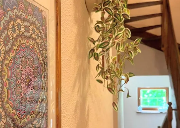 Bed & Breakfast Zieleniecka Duszniki Zdroj