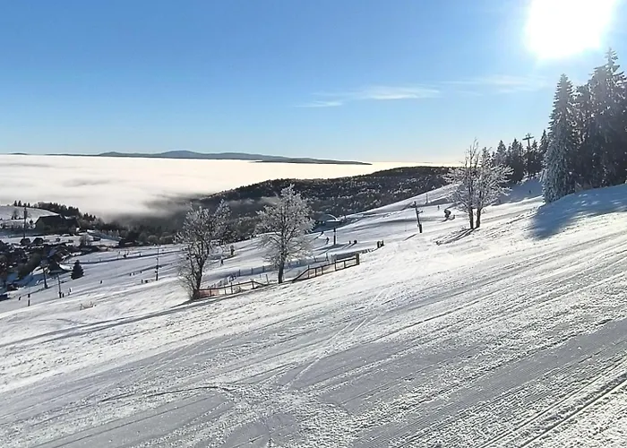 Bed & Breakfast Zieleniecka