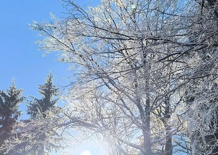 Bed and Breakfast Zieleniecka